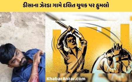 'હું દરબાર છું, મને 'તું' કેમ કહે છે?' - ડીસાના ઝેરડા ગામે દરબારે દલિત યુવકને આંતરીને માર માર્યો