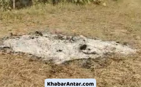 પંચમહાલમાં જાતિવાદે મર્યા પછી પણ પીછો ન છોડ્યો, મહિલાની અંતિમવિધિ માટે સ્મશાન ન મળતા ખેતરમાં અંતિમવિધિ કરવી પડી