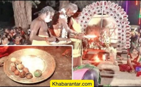 ભગવાનને ચઢાવાયેલા નવ લીંબુ હરાજીમાં રૂ. 2.36 લાખમાં વેચાયા