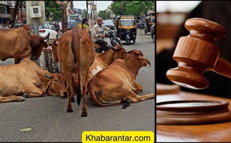 કે.બી. રાઠોડ સાહેબની દલીલોએ મૃતકને 13.70 લાખનું વળતર અપાવ્યું