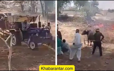 દલિત પરિવારના 4 સભ્યો પર માથાભારે તત્વોએ ટ્રેક્ટર ચડાવી દીધું