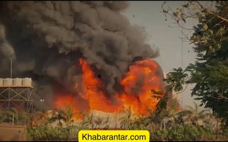 સાહેબ, ગુજરાતીઓની સહનશક્તિની હવે હદ આવી ગઈ છે....