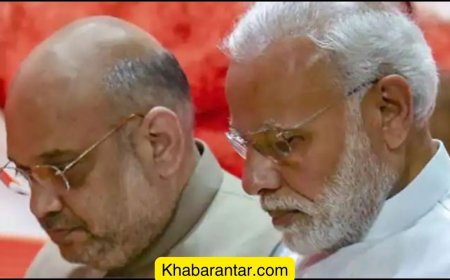 ભાજપ ક્યાં ચૂક્યો? ૪૦૦ તો દૂર 250ના પણ ફાંફા