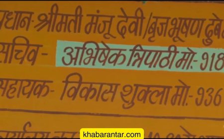'પંચાયત' વેબ સિરીઝમાં મોટાભાગના પાત્રો બ્રાહ્મણ કેમ છે?