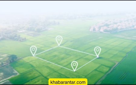 અમરેલીના 54 દલિત પરિવારો 42 વર્ષથી હકની જમીન માટે સંઘર્ષ કરે છે