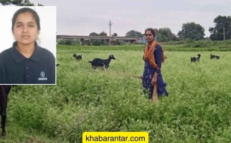 JEEમાં 824મો રેન્ક મેળવ્યો છતાં આદિવાસી દીકરી બકરીઓ ચરાવે છે