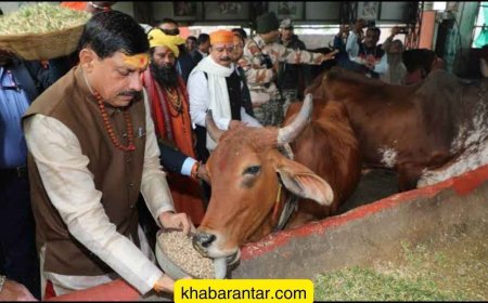 મધ્યપ્રદેશ સરકારે SC-ST ના હકના કરોડો રૂપિયા ગાયો માટે ફાળવી દીધાં