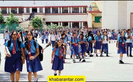 ખાનગી શાળાઓમાં ફીનું ધોરણ નક્કી કરવા શિક્ષણ વિભાગે સમિતિઓ રચી