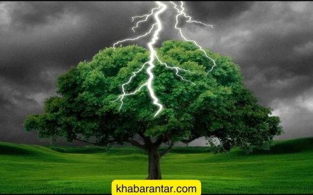 વડાલીમાં ઝાડ નીચે ઉભેલા મજૂર પર વીજળી પડતા મોત, એક ઘાયલ