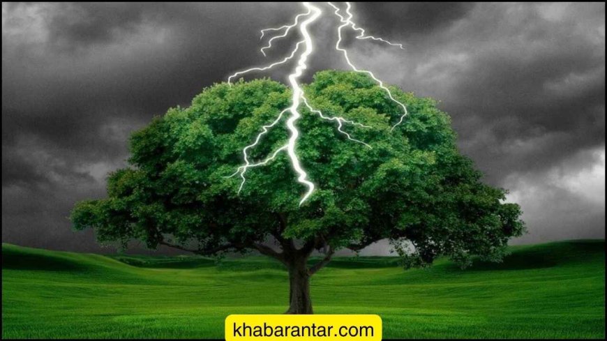 વડાલીમાં ઝાડ નીચે ઉભેલા મજૂર પર વીજળી પડતા મોત, એક ઘાયલ