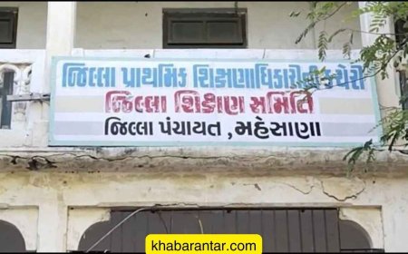 કેવી રીતે ભણશે ગુજરાત? મહેસાણા જિલ્લામાં 10 શિક્ષકો સતત ગેરહાજર