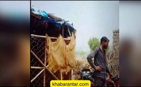 દારૂડિયા પતિએ પત્નીને બાઈક પાછળ બાંધીને ગામ વચ્ચેથી ઢસડી