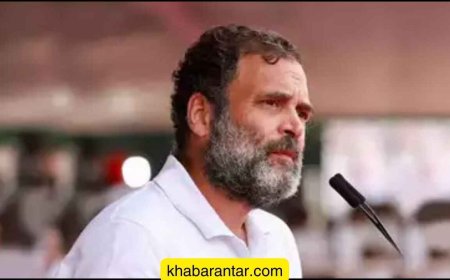 IAS નું ખાનગીકરણ અનામત ખતમ કરવાની ગેરંટી છે