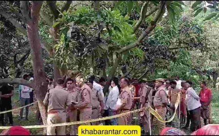 આંબાના ઝાડ પર બે દલિત યુવતીઓની લાશ લટકતી મળી આવી