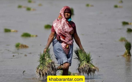 મોંઘા સંરક્ષણ સાધનો અને સફાઈના મશીન વચ્ચે તમારી પ્રાથમિકતા શું છે?