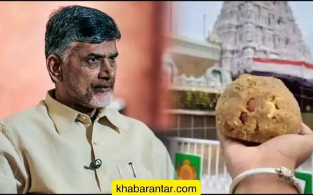 તિરૂપતિ બાલાજી મંદિરનો પ્રસાદ પશુઓની ચરબીમાંથી બને છે: ચંદ્રબાબુ