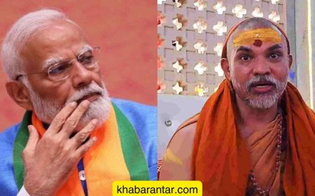 'અમે તેને હિંદુ નથી ગણતા', શંકરાચાર્યે પીએમ મોદીનો ઉલ્લેખ કરીને કહ્યું