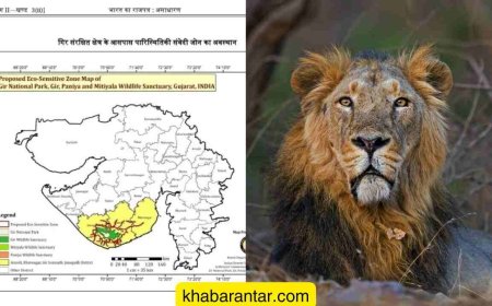 ગીર આસપાસનો કુલ ૧.૮૪ લાખ હેક્ટર વિસ્તાર ‘ઇકો-સેન્સિટિવ ઝોન’ જાહેર