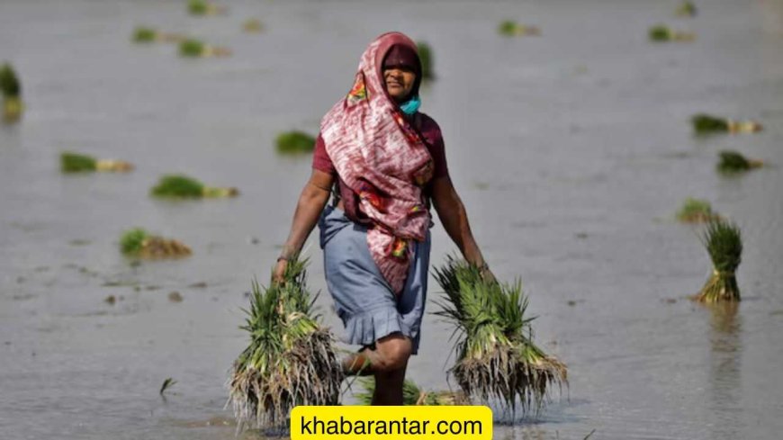 મોંઘા સંરક્ષણ સાધનો અને સફાઈના મશીન વચ્ચે તમારી પ્રાથમિકતા શું છે?