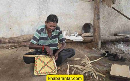 તાડના પાંદડામાંથી પંખા બનાવવાની અદ્ભુત કલાનો કોઈ કદરદાન નથી