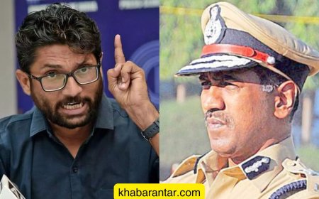 મેવાણી સાથે તોછડાઈ કરનાર પાંડિયન સામાન્ય દલિત સાથે શું કરતા હશે?