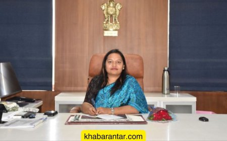 એટ્રોસિટીના 90 ટકા કેસ બ્લેકમેઇલ કરવા માટે કરાય છે : મહીસાગર કલેક્ટર