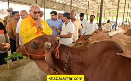 રાજસ્થાનની શાળાઓમાં હવે ‘ગૌમાતા’ વિશે ભણાવવામાં આવશે