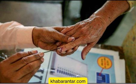 રાજ્યની 1 જિલ્લા, 3 તાલુકા પંચાયતની બેઠકો માટે જાહેરનામું પ્રસિદ્ધ કરાયું