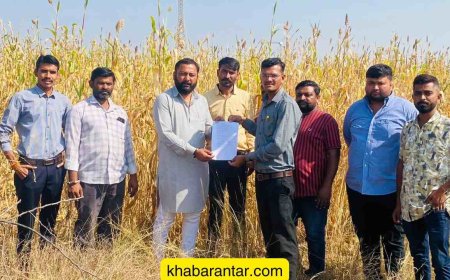 જય ભીમ બોલો! કચ્છના જડસા-ખોડાસરમાં 102 એકર જમીન દલિતોને સોંપાઈ