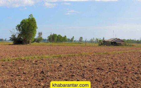 જાતિવાદીઓએ દલિત મહિલાની 8.5 વીઘા જમીન પડાવી લીધી