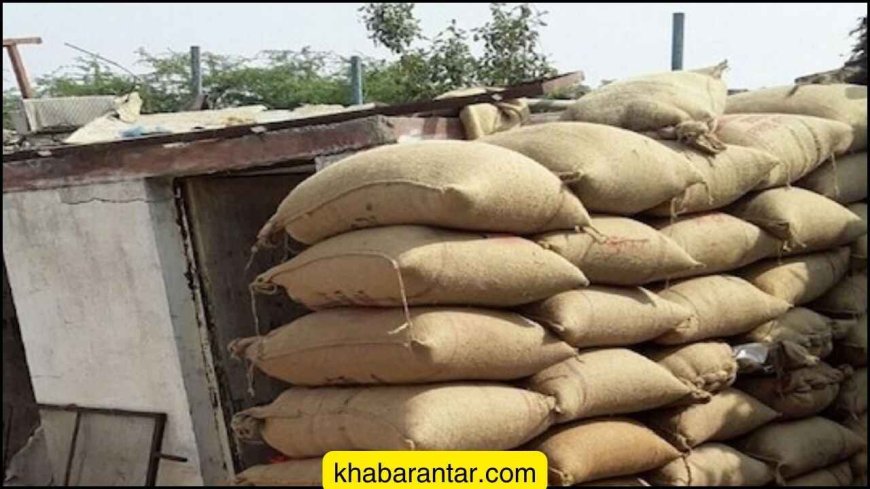 ગુજરાતમાં 43 ટકા સરકારી અનાજ સગે વગે થઈ જાય છે?