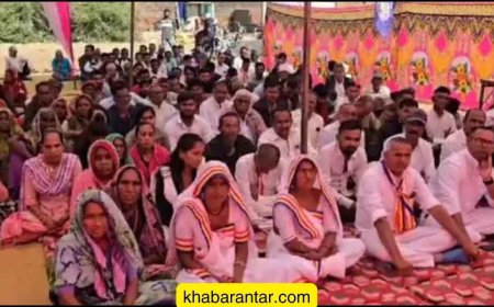 આણંદના મીતલી ગામે પહેલીવાર ભીમા કોરેગાંવ શૌર્ય દિવસ ઉજવાયો