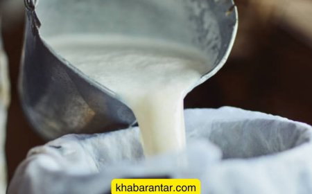 દાંતીવાડાના રાણોલની દૂધ મંડળીમાં વાલ્મિકી પશુપાલકોનું દૂધ લેવાનું બંધ કરાયું