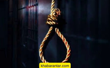 દયા અરજી અને ક્ષમાદાન : ભારતમાં અને અમેરિકામાં